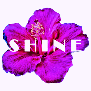 "shine" flower graphic